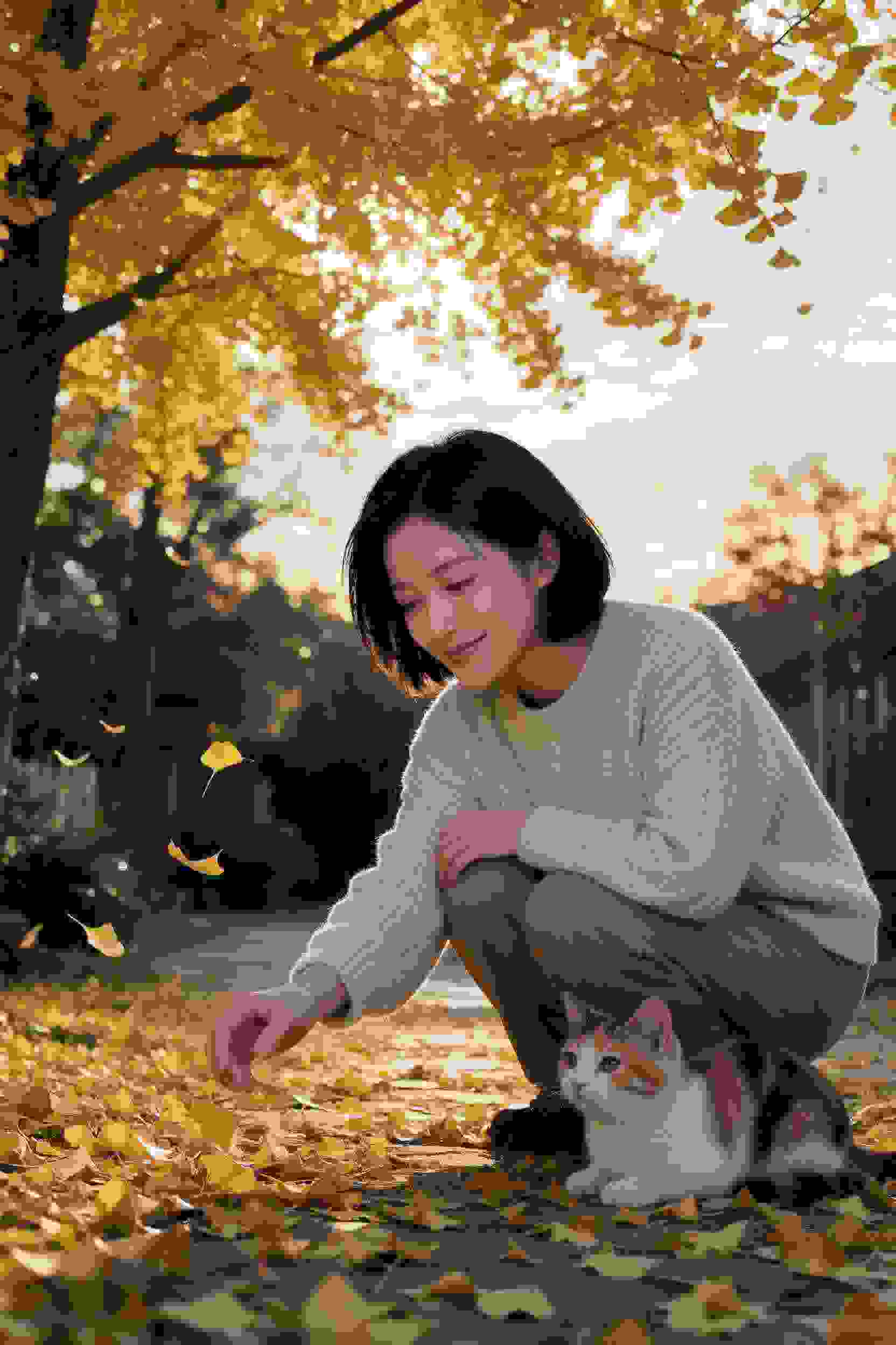 暗影密码